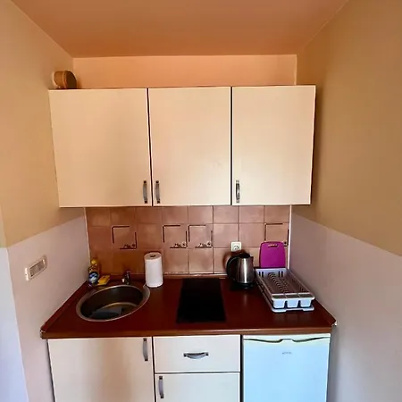 Bojana Apartment Budva